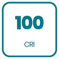 Product specification icon