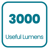 Product specification icon