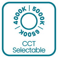 Product specification icon