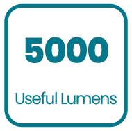 Product specification icon