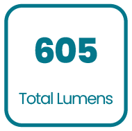 Product specification icon