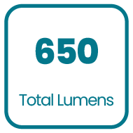 Product specification icon