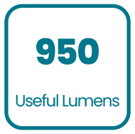 Product specification icon